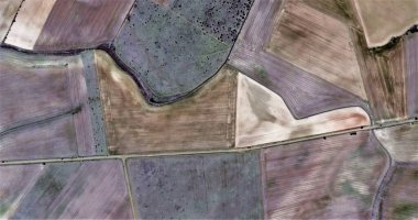 cinsiyet şiddeti, mallow ve ocher kompozisyonu, Picasso 'ya övgü, havadan İspanya sahalarının soyut fotoğrafçılığı, havadan görüş, insan çalışma kamplarının temsili, soyut sanat, 