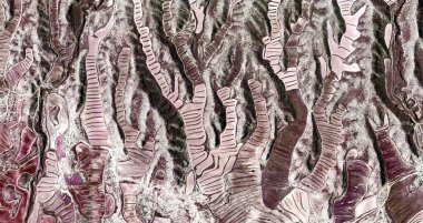 Yaşamın kökeni, Picasso 'ya övgü, İspanya topraklarının havadan soyut fotoğrafları, havadan görüş, insan çalışma kamplarının temsili, soyut sanat, 