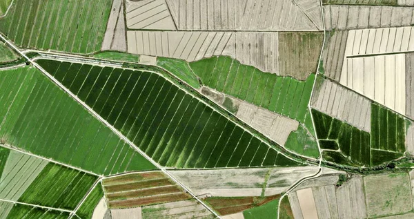 活的天鹅绒 向毕加索致敬 从空中对西班牙田野进行抽象摄影 展示人类劳动营 抽象艺术 — 图库照片