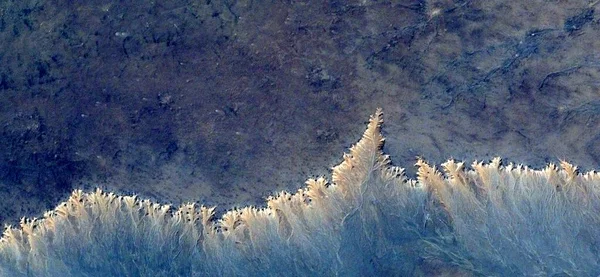 Megkövült Erdő Elvont Fotográfia Afrika Sivatagjairól Levegőből Antik Kilátás Sivatagi — Stock Fotó