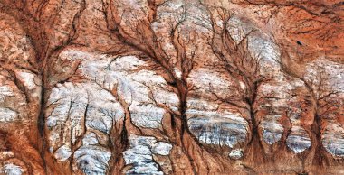 Çöküş, Afrika çöllerinin havadan görünüşü, çöl manzaralarının havadan görünüşü, türü: soyut doğalcılık, mecazi, çağdaş fotoğrafa kadar. 