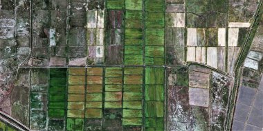 Kara altın, kirli çöl kumu, Afrika çöllerinin havadaki soyut fotoğrafı. hava görüntüsü, Tür: Soyut Natüralizm, soyuttan mecazlara