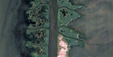 Plastik ağaç, Afrika çöllerinin havadan soyut fotoğrafları, çöl manzaralarının havadan görünüşü, Tür: Soyut doğalcılık, mecazdan mecazi, çağdaş fotoğrafa 