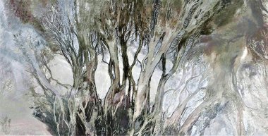 the Enchanted Forest, abstract photography of the deserts of Africa from the air, aerial view of desert landscapes, Genre: Abstract Naturalism, from the abstract to the figurative, contemporary photo  clipart