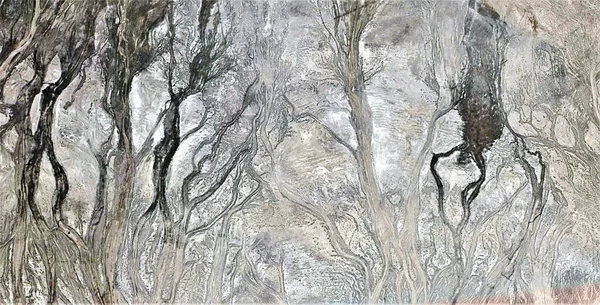 the Enchanted Forest, abstract photography of the deserts of Africa from the air, aerial view of desert landscapes, Genre: Abstract Naturalism, from the abstract to the figurative, contemporary photo