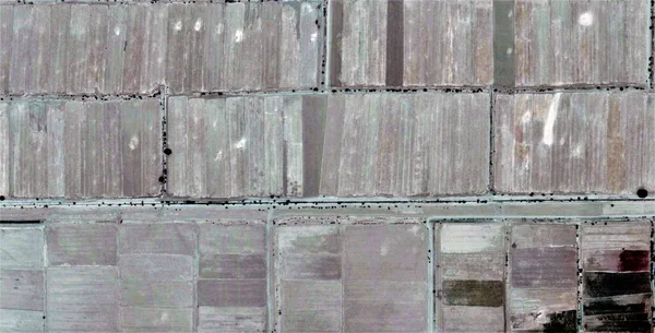 Rüzgarın Gücü Çöldeki Insan Çiftlikleri Pollock Hürmetler Afrika Çöllerinin Soyut — Stok fotoğraf