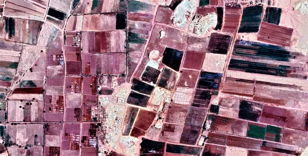 Die Kraft Des Windes Farmen Menschlicher Nutzpflanzen Der Wüste Hommage — Stockfoto