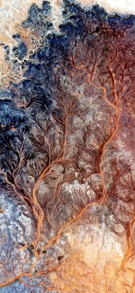 the tree of good and evil, vertical abstract photography of the deserts of Africa from the air, aerial view of desert landscapes, Genre: Abstract Naturalism, from the abstract to the figurative,