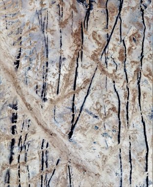 Minimalist orman, Afrika çöllerinin dikey soyut fotoğrafları havadan, stok fotoğrafı, Tür: Soyut doğalcılık, soyut soyuttan mecazlara, 