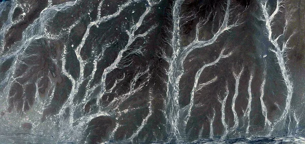 Bosque Encantado Fotografía Abstracta Los Desiertos África Desde Aire Vista —  Fotos de Stock