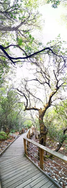 Fotografía Del Valle Batuecas Destino Turístico Alberca Salamanca España Paisaje —  Fotos de Stock