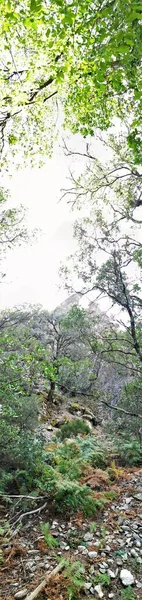 Fotografía Del Valle Batuecas Destino Turístico Alberca Salamanca España Paisaje —  Fotos de Stock