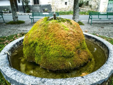 Quintanilla, Las Merindades, Burgos, İspanya 'da yosun dolu Roma çeşmesi,