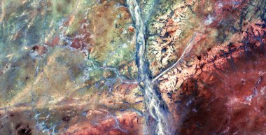 Sihirli ağaç, Afrika çöllerinin havadan soyut fotoğraflanması, çöl manzaralarının havadan görünüşü, Tür: Soyut doğalcılık, mecazi, çağdaş fotoğrafa kadar