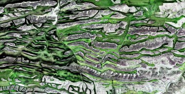 İspanya topraklarının havadan görünüşü, havadan görünüşü, çalışma kamplarının tasviri, soyut sanat eserleri.,