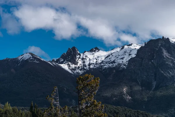 Wielkie Zaśnieżone Góry Sosnowym Lasem Niebo Chmurami — Zdjęcie stockowe