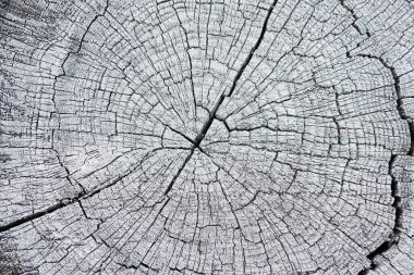 Günlük parçasının yakın plan görüntüsü, desen çatlaklarla kaplı