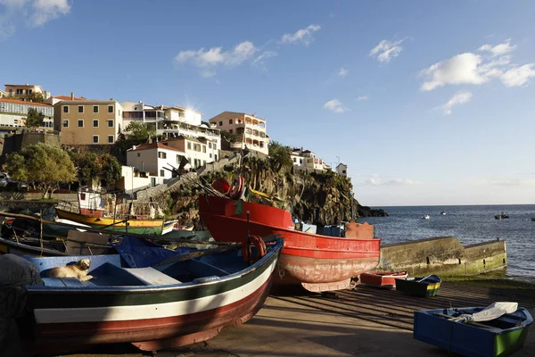 Camera Lobos Ilha Madeira Esta Uma Pitoresca Vila Piscatória Muito — Fotografia de Stock