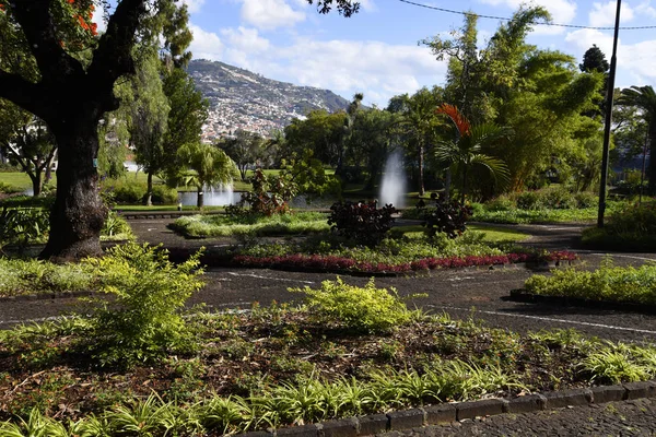 Parque Santa Caterina Sus Fuentes Funchal Isla Madeira — Foto de Stock