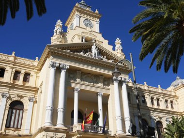 Malaga 21 Şubat 2018. Güzel Malaga City Hall muhtemelen Kuzey Afrika'dan parlak yeşil parakeets dolu palmiye ağaçları ile çevrili. Onların gürültü çok yüksek, zaman zaman trafiğin boğulma bir