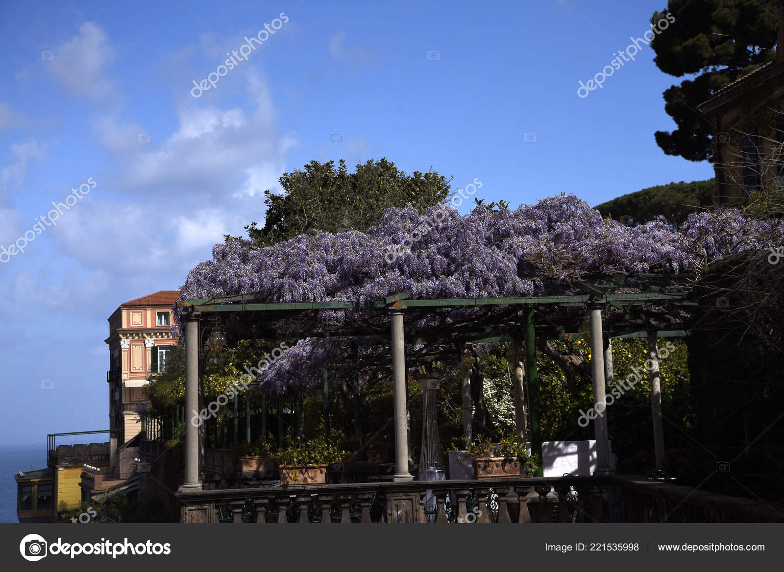 Terrace Wisteria Sorrento Which Small City Campania Italy - 