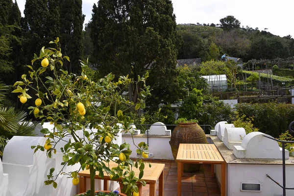 Terraza Una Villa Anacapri Isla Capri Bahía Nápoles Sur Italia — Foto de Stock