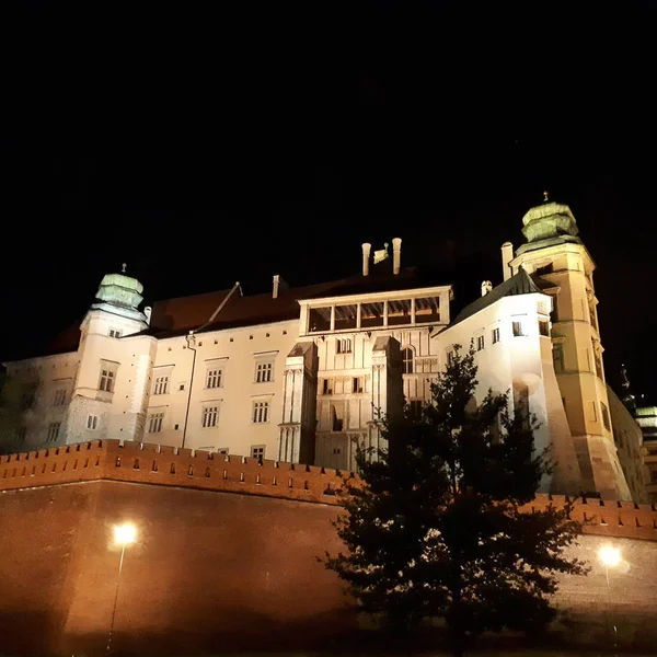 Βασιλικό Κάστρο Wawel Και Τον Καθεδρικό Ναό Στην Πολωνία Κρακοβία — Φωτογραφία Αρχείου