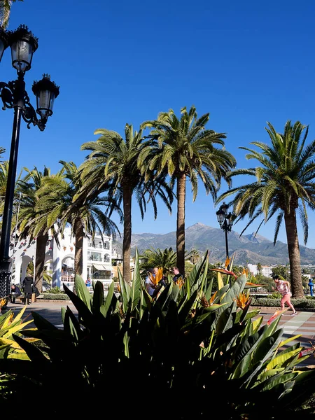 Beyaz çiçeklerle küvetleri Costa del Sol İspanya Doğu ucundaki Nerja'da Balcon de Europa'da Loggia kemerli