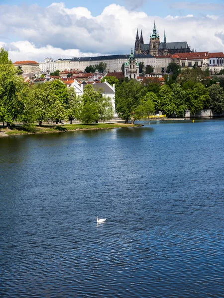 横流捷克首都布拉格的伏尔塔瓦河 — 图库照片
