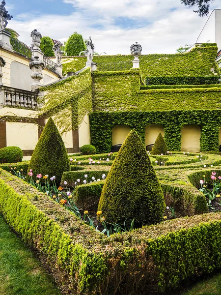 Çek Cumhuriyeti Prag Şehrinde Kraliyet Kalesi Tepenin Eteklerinde Beautiful Garden — Stok fotoğraf