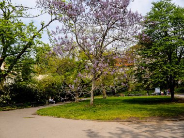 Senato Bahçeleri'nin yakınındaki küçük bir parktan başlayarak heykellerle kaplı tramvay istasyonundan Prag Kalesi'ne kadar merdiven ler uzun bir mesafedir ve bu merdiven, tırabzanlı ve seviyeli durakyerleri ile daha kısa bir yoldur.