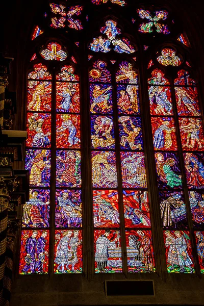 Katedra Wita Zamku Praskim Czechach Jest Jedną Najpiękniejszych Budowli Sakralnych — Zdjęcie stockowe