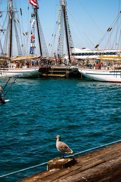 Lång Segelfartyg Festival Sail Hamnen San Diego Kalifornien Usa — Stockfoto