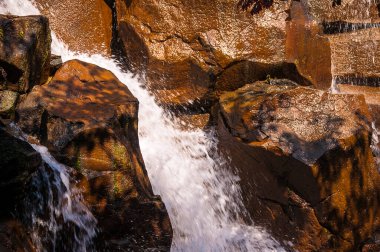 ABD 'nin Washington eyaletindeki Seattle şehrindeki Şelale Bahçesi. Puget Sound üzerindeki Seattle, Klondike Altına Hücumu sırasında Alaska' ya açılan bir ticari merkez ve kapı haline geldi. Şehir 1980 'lerde bir teknoloji merkezi haline geldi.