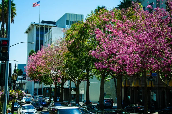 Art Architecture City Los Angeles California City Grew Small Settlement — Stock Photo, Image