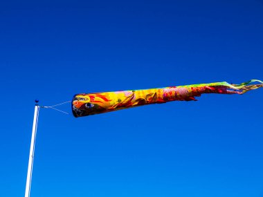 Oregon sahilinde küçük bir kasaba olan Oregon 'daki Floransa kıyı kasabasında uçurtma uçurmak. Deniz feneri deniz kuşları ve göç eden balinaların görüntülerini sunuyor. Mağazalar ve galeriler Eski Şehir Bölgesi 'ni doldurdu