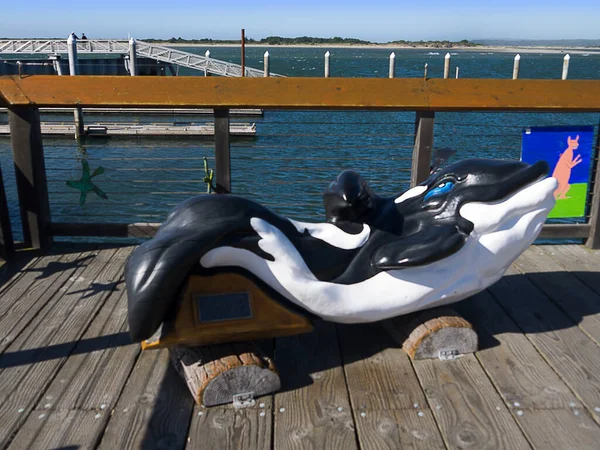 Escultura Orca Ballena Asesina Ciudad Costera Florencia Oregon Que Una — Foto de Stock