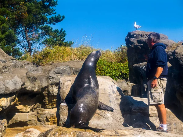 オレゴン州ニューポートの海岸水族館オレゴン州ニューポートの美しいヤキナ湾に位置しています オレゴン コースト水族館は海洋教育の中心地であり オレゴン コーストの魅力でもある — ストック写真