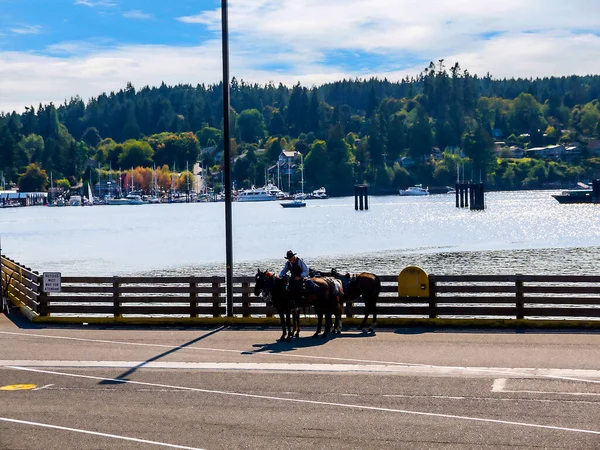 Bainbridge Island Een Kleine Stad Het Westen Van Washington Staat — Stockfoto