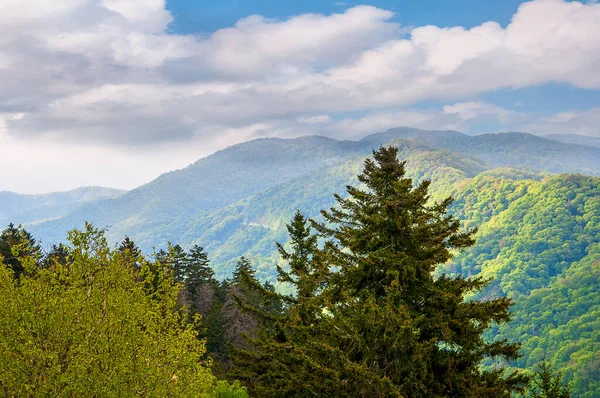 Góry Blue Ridge Dolina Shenandoah Virginii Widok Blue Ridge Parkway — Zdjęcie stockowe