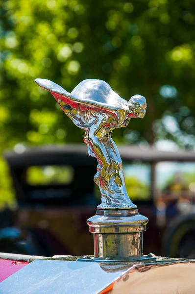 Worlds Most Famous Luxury Cars Display Rally Biltmore North Carolina — Stock Photo, Image