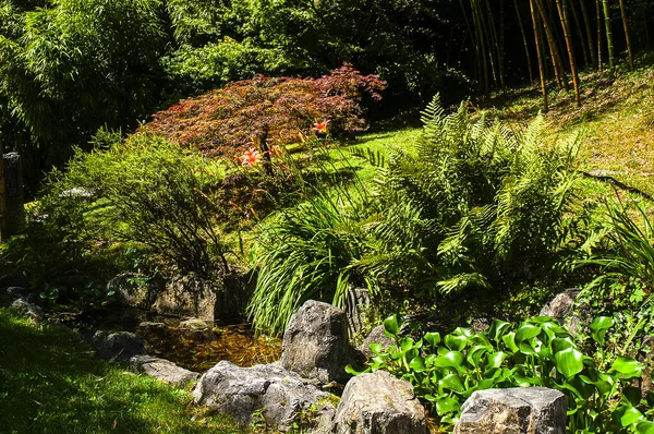 Magnifique Jardin Les Bâtiments Villa Carlotta Sur Les Rives Lac — Photo