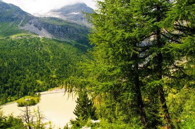 Tiran 'daki Bernina Ekspres treninden İsviçre' deki St. Moritz 'e kadar uzanan İsviçre dağları Matterhorn' un etrafındaki dağlara tırmanıyor, muhteşem dağ zirveleri ve her dönemeçte sürprizlerle dolu derin vadilerle dolu bir yolculuk.