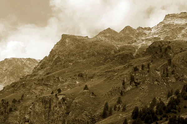 Bernina Alpleri terimi, Bernina ve Bregaglia sıralarını da kapsayacak şekilde geniş anlamda kullanılabilir; Bernina Geçidi Pontresina 'dan Tirano yoluna Maloja Geçidi St Moritz' den Chiavenna yoluna kadar. 