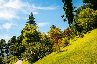 Çok eğimli bir yamaçta bahçıvanlık yapmak, İtalya 'da Como Gölü' nün yanındaki bir bahçede olduğu gibi, zor olmalı. Sadece çimleri biçmek mümkün görünüyor.