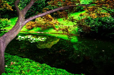 İtalya 'da Como Gölü' ndeki Villa Melzi 'nin bahçeleri ve küçük köşkleri. Sadece bahçeler, köşkler ve şapeller halka açıktır. Burası bu muhteşem göldeki en güzel villalardan biridir.