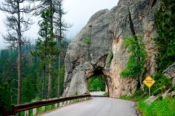 Güney Dakota 'daki Custer Eyalet Parkı' ndan geçen yol.