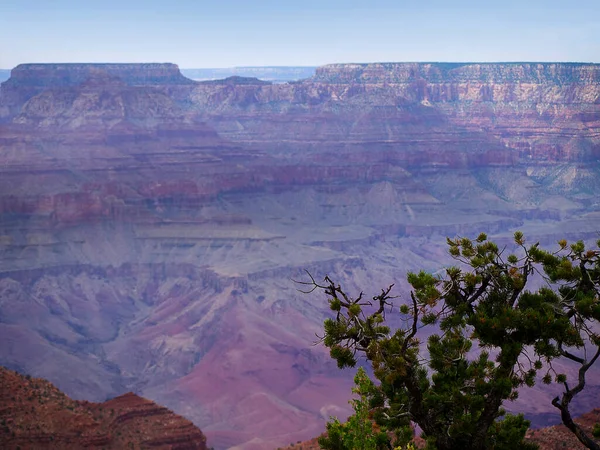 Grand Canyon Arizona Usa Var Underverken Naturvärlden Grand Canyon National — Stockfoto