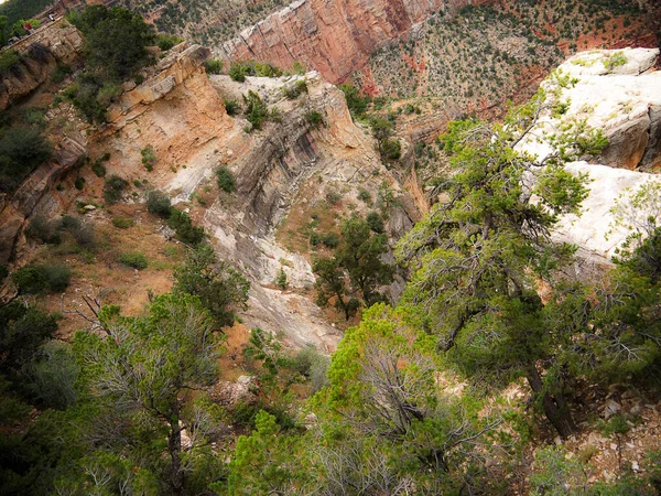 アリゾナ州のグランドキャニオンは 自然界の7つの不思議の一つです グランドキャニオン国立公園は 米国で最初の国立公園の1つでした この峡谷はコロラド川によって1700万年の間に作られた — ストック写真