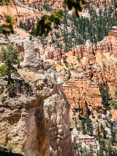 Ngarai Bryce Utah Berbeda Karena Struktur Geologi Yang Disebut Hoodoos — Stok Foto